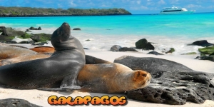 Paquetes Turisticos a Galapagos